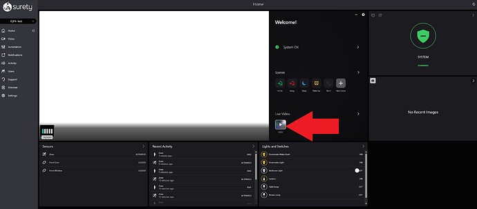 Alarm.com-website-LiveView